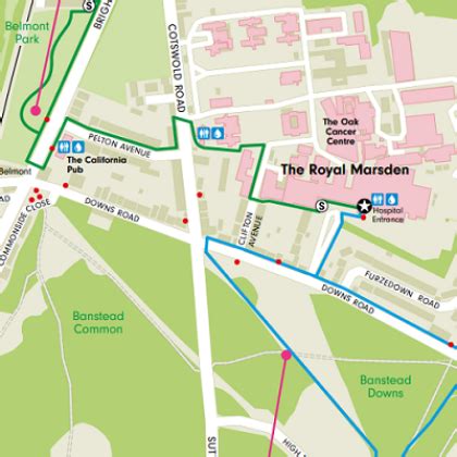 royal marsden cancer charity|royal marsden sutton map.